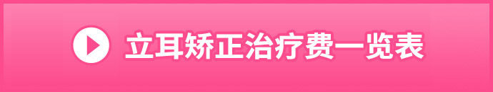 立ち耳修正の施術料金一覧