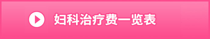 婦人科形成の施術料金一覧