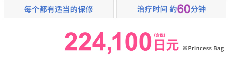 プランに応じた保証付き　施術時間約60分　224,100円(税込)※プリンセスバッグ