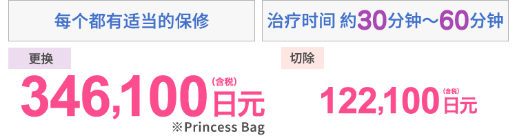 プランに応じた保証付き　施術時間30～60分　入れ替え346,100円(税込)　除去122,100円(税込)