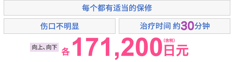 傷目立たない・施術時間30分・安心保障　上・下　各171,200円(税込)