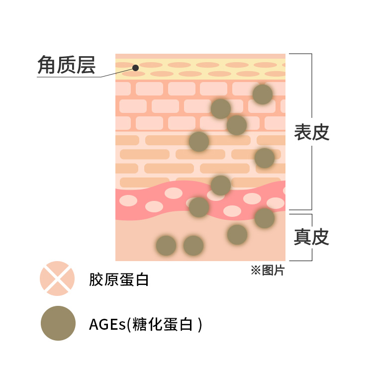 糖化の説明図